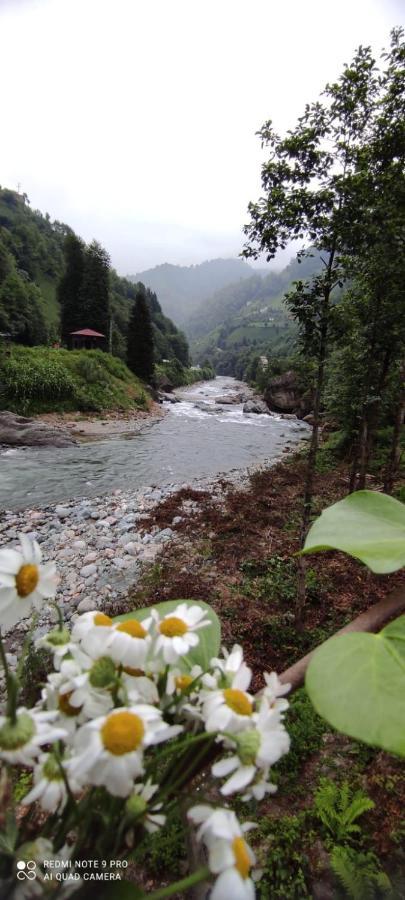 Cimen Apart Camlihemsin ภายนอก รูปภาพ